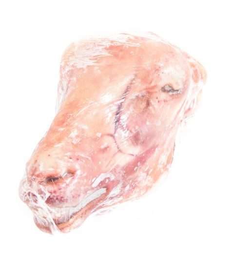 Lamb Head Frozen